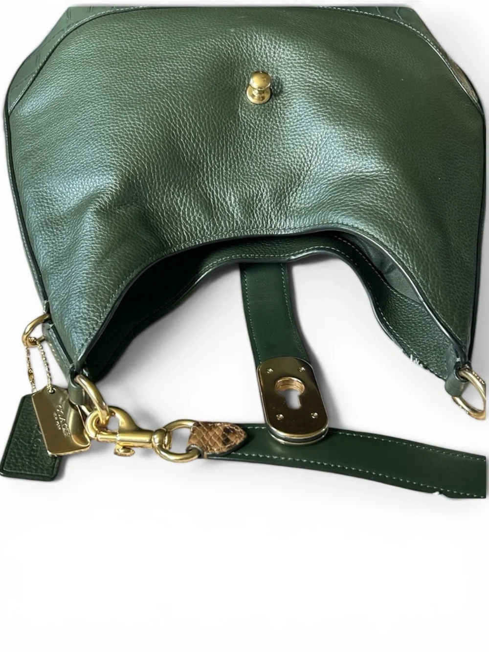 COACH Amber Pebble and Exotic Leather Hobo Shoulder Bag in Ivy